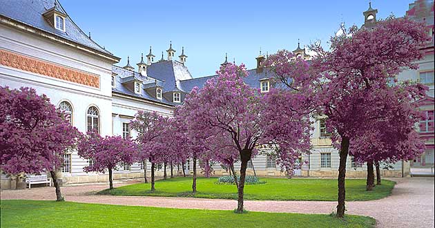 Urlaub ber Ostern in Dresden an der Elbe, Osterurlaub in der Sommerresidenz der Sachsen-Knige