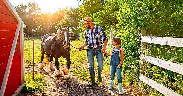 Urlaub ber Ostern in Ostbayern, Osterurlaub in der Oberpfalz zwischen zwischen Amberg, Schwandorf, Regensburg, Nrnberg, Ingolstadt und Mnchen.